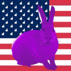 VIOLET-FLAG JAUNE FLAG rabbit flag Showroom - Inkjet on plexi, limited editions, numbered and signed. Wildlife painting Art and decoration. Click to select an image, organise your own set, order from the painter on line